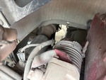 Engine with Exhaust System