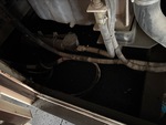 Engine with Fuel System
