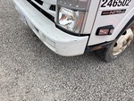 General Appearance with Paint