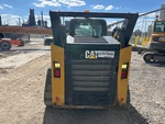 General Appearance with Paint