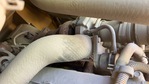 Engine with Exhaust System