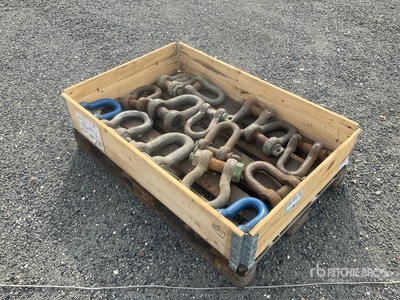 Quantity of (15) Shackles