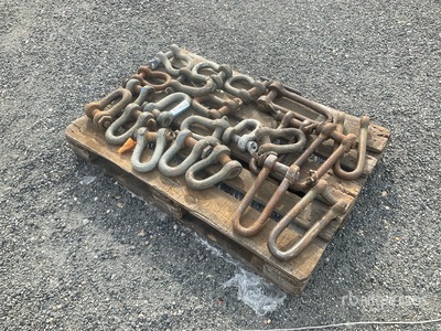 Quantity of (22) Shackles