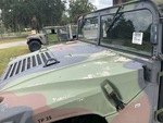 General Appearance with Paint