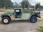 General Appearance with Paint