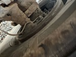 Brakes with 