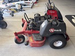 General Appearance with Paint