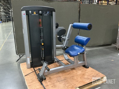 Life Fitness SS-BE Back Extension