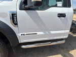 General Appearance with Paint