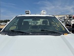 General Appearance with Glass