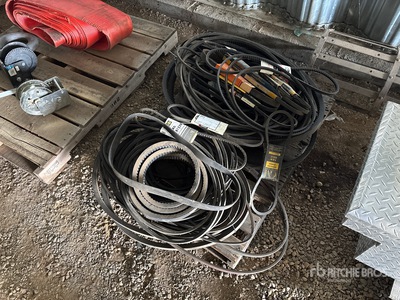 Quantity of Assorted Belts