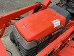 General Appearance with Paint
