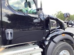 General Appearance with Paint