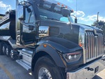 General Appearance with Paint