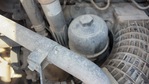 Engine with Oil Leaks