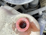 Engine with Radiator