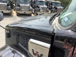 General Appearance with Paint