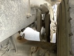 Underbody with Suspension Bushings
