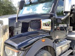 General Appearance with Paint