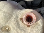 Engine with Radiator