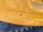 General Appearance with Paint