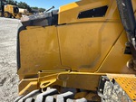General Appearance with Paint