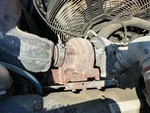 Engine with Exhaust System