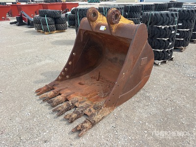 Cat 54 in Digging Excavator Bucket