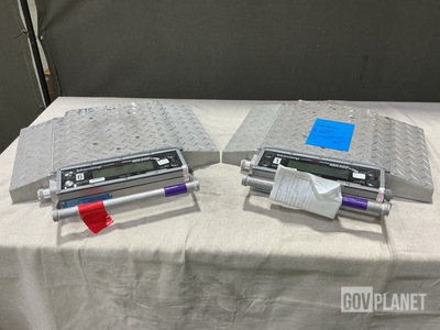 (2) Intercomp MH300A Scales