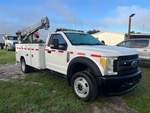 General Appearance with Paint