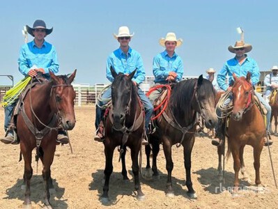 Diamond C Land and Cattle