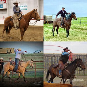 Mad House Ranch