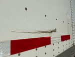 General Appearance with Paint