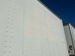 General Appearance with Paint