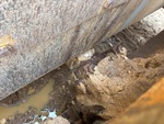 Undercarriage with 