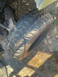 Chassis with Tire Condition