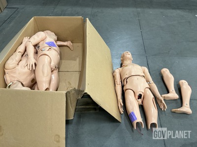 (3) Medical Training Manikins