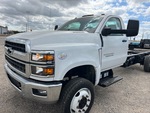 General Appearance with Paint