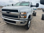 General Appearance with Paint