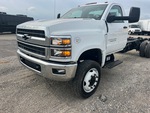 General Appearance with Paint
