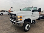 General Appearance with Paint