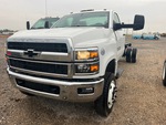 General Appearance with Paint