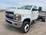 General Appearance with Paint