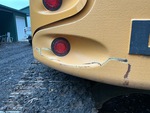 General Appearance with Paint