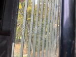 General Appearance with Glass