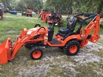 General Appearance with Paint