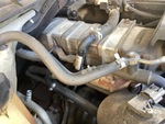 Engine with Exhaust System