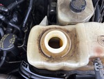 Engine with Radiator