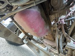 Silnik with Oil Leaks
