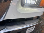 General Appearance with Paint